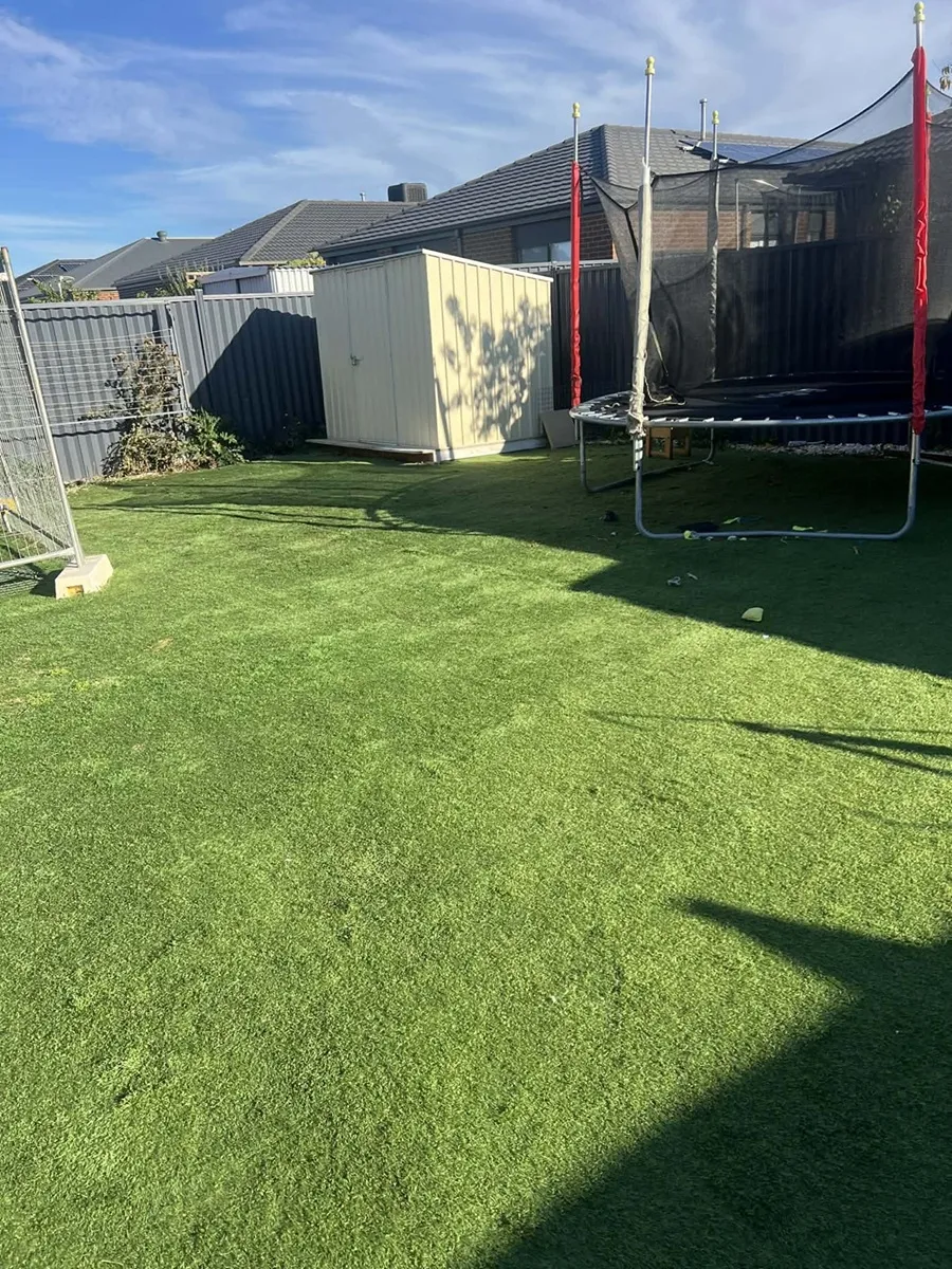 Backyard after Scoop Force clean-up